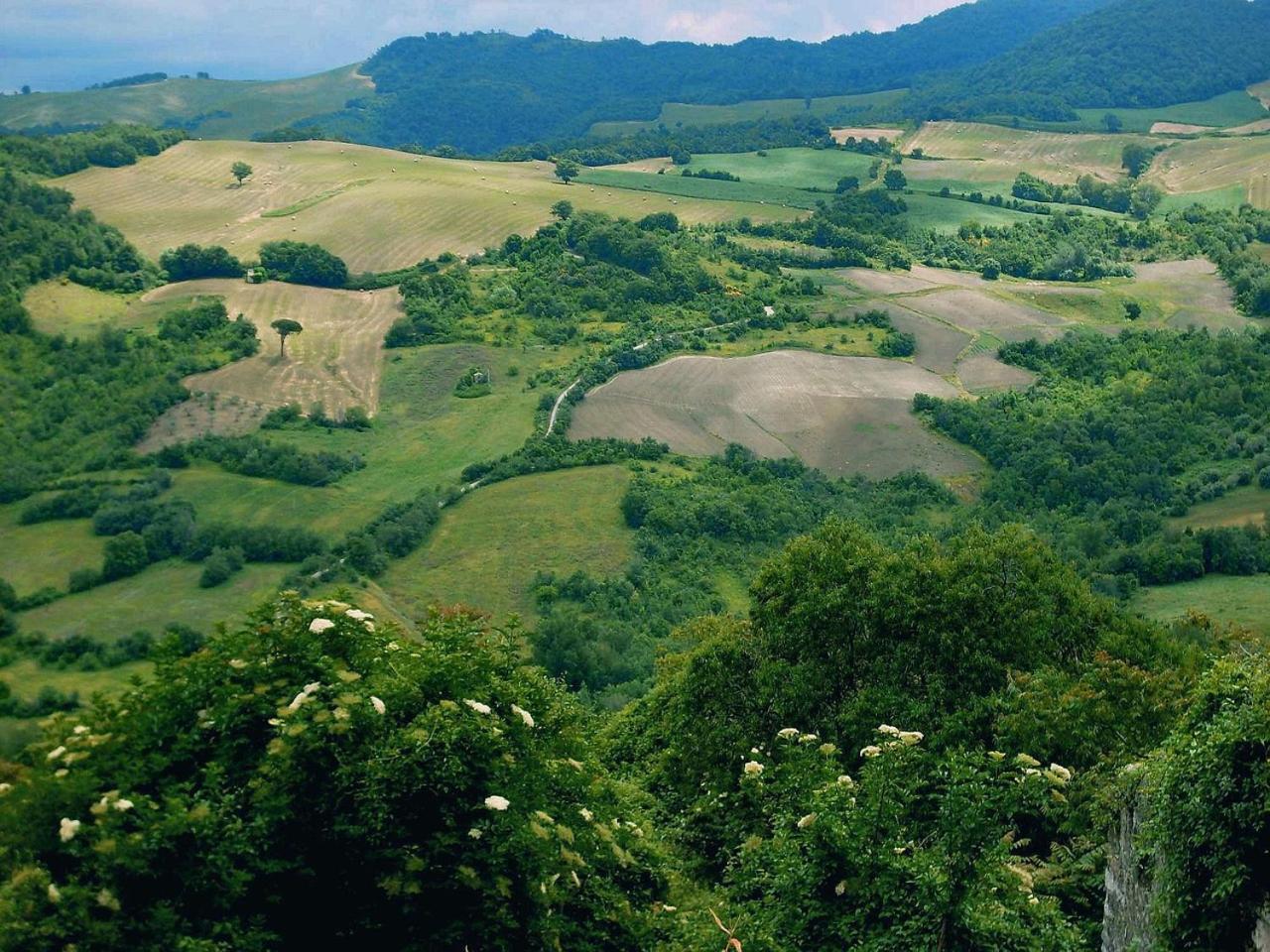 Il Pentagono 2*
