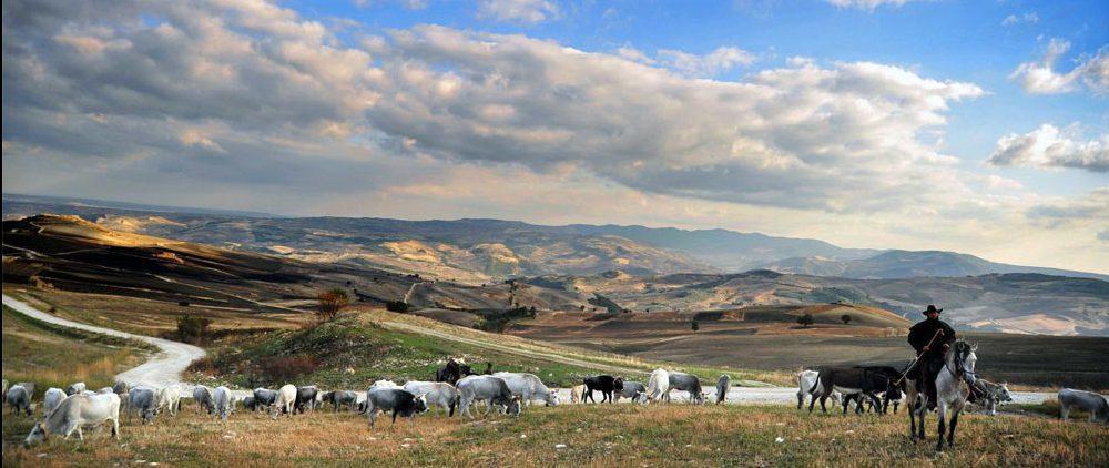 Gasthof Il Pentagono